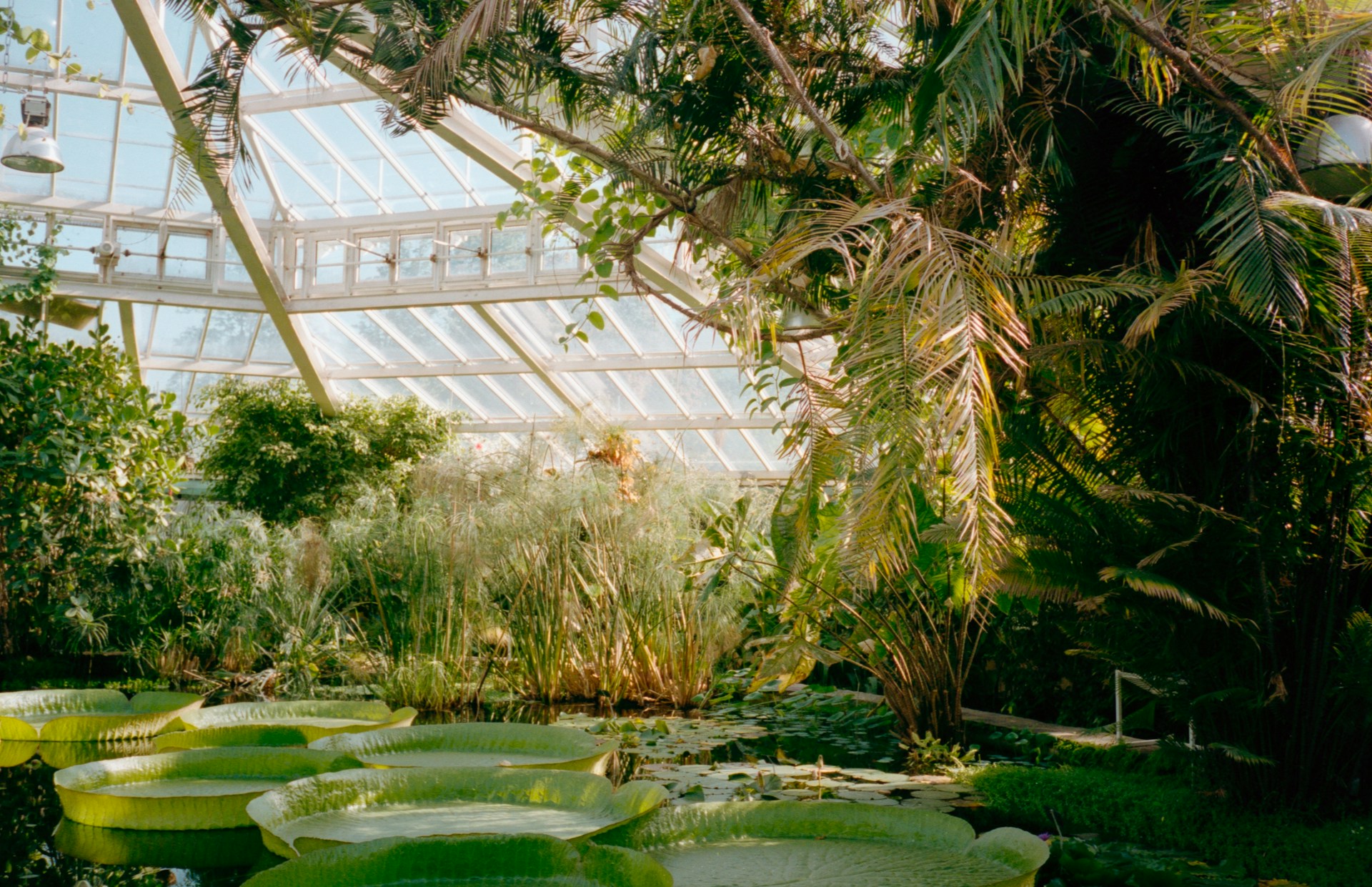 Staging in Non-Traditional Spaces: From Botanical Glasshouses to Living Waterways